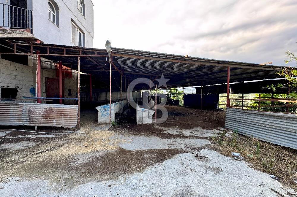 Akdeniz Civanyaylağı Mahallesinde Satılık Ahır Ev ve Arsası