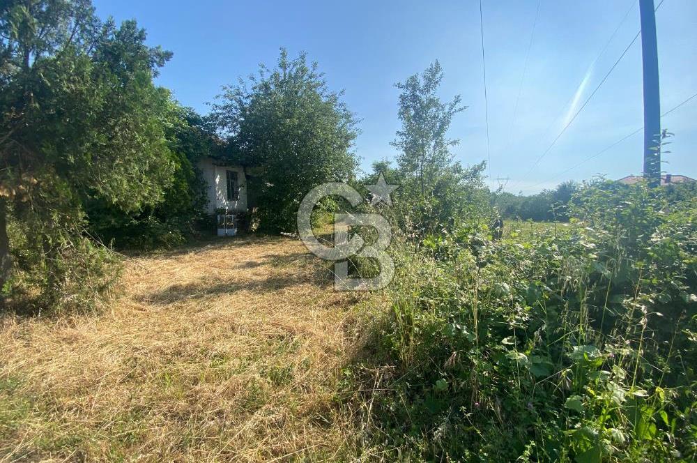 MAHMUTBEY'DE PROJELİK YOLA CEPHE 5243M2 VİLLA İMARLI DEV ARSA