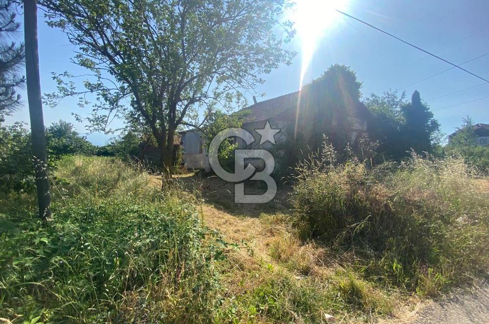 MAHMUTBEY'DE PROJELİK YOLA CEPHE 5243M2 VİLLA İMARLI DEV ARSA