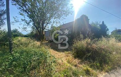 MAHMUTBEY'DE PROJELİK YOLA CEPHE 5243M2 VİLLA İMARLI DEV ARSA