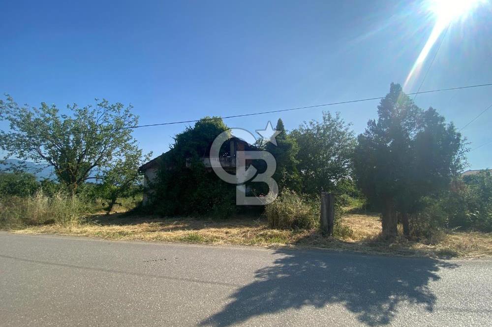 MAHMUTBEY'DE PROJELİK YOLA CEPHE 5243M2 VİLLA İMARLI DEV ARSA