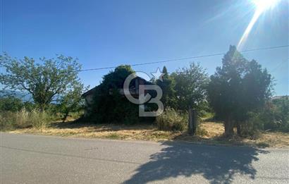 MAHMUTBEY'DE PROJELİK YOLA CEPHE 5243M2 VİLLA İMARLI DEV ARSA