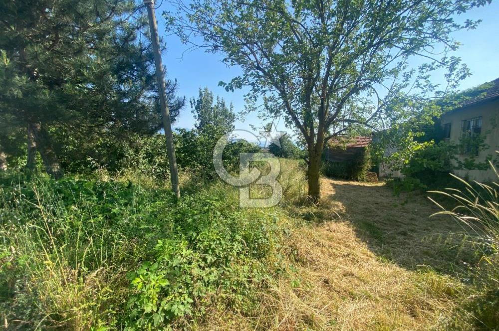 MAHMUTBEY'DE PROJELİK YOLA CEPHE 5243M2 VİLLA İMARLI DEV ARSA