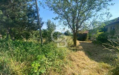 MAHMUTBEY'DE PROJELİK YOLA CEPHE 5243M2 VİLLA İMARLI DEV ARSA