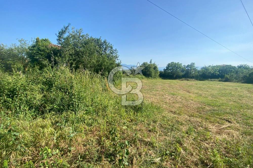 MAHMUTBEY'DE PROJELİK YOLA CEPHE 5243M2 VİLLA İMARLI DEV ARSA