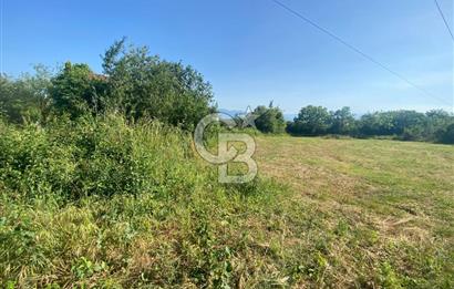 MAHMUTBEY'DE PROJELİK YOLA CEPHE 5243M2 VİLLA İMARLI DEV ARSA