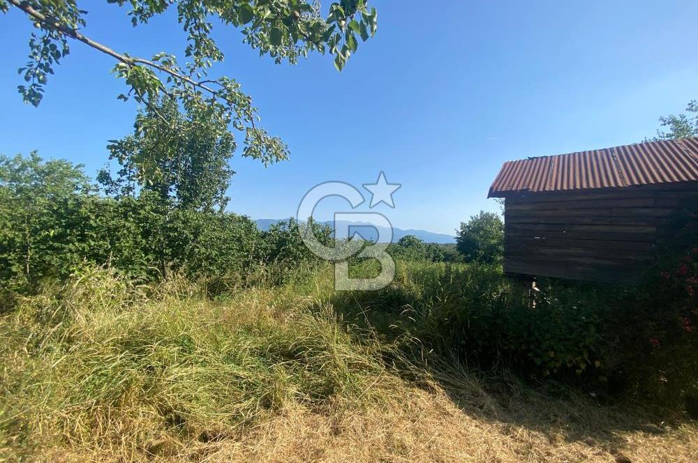 MAHMUTBEY'DE PROJELİK YOLA CEPHE 5243M2 VİLLA İMARLI DEV ARSA