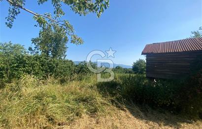 MAHMUTBEY'DE PROJELİK YOLA CEPHE 5243M2 VİLLA İMARLI DEV ARSA