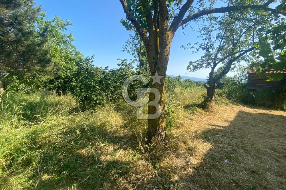 MAHMUTBEY'DE PROJELİK YOLA CEPHE 5243M2 VİLLA İMARLI DEV ARSA