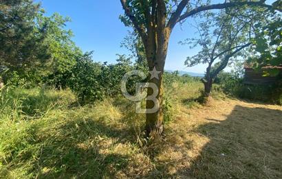 MAHMUTBEY'DE PROJELİK YOLA CEPHE 5243M2 VİLLA İMARLI DEV ARSA