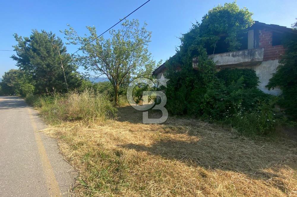 MAHMUTBEY'DE PROJELİK YOLA CEPHE 5243M2 VİLLA İMARLI DEV ARSA