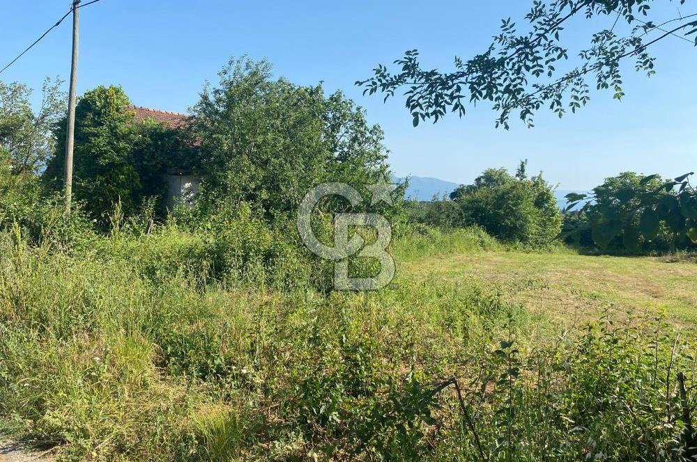MAHMUTBEY'DE PROJELİK YOLA CEPHE 5243M2 VİLLA İMARLI DEV ARSA