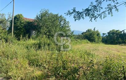 MAHMUTBEY'DE PROJELİK YOLA CEPHE 5243M2 VİLLA İMARLI DEV ARSA