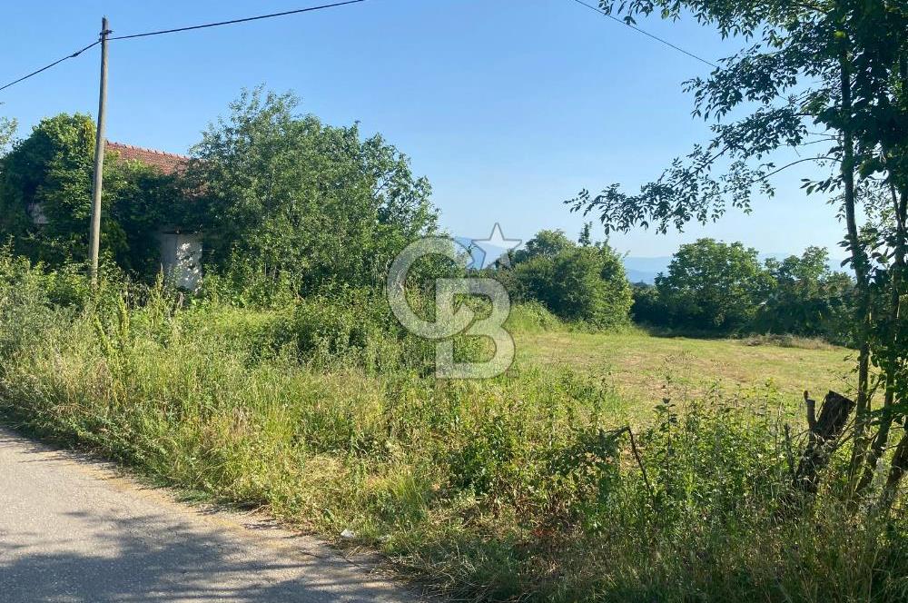 MAHMUTBEY'DE PROJELİK YOLA CEPHE 5243M2 VİLLA İMARLI DEV ARSA