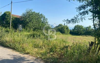 MAHMUTBEY'DE PROJELİK YOLA CEPHE 5243M2 VİLLA İMARLI DEV ARSA