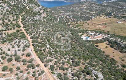CB GİZ'DEN KAŞ BEZİRGAN'DA SATILIK YATIRIMLIK TARLA 