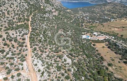 CB GİZ'DEN KAŞ BEZİRGAN'DA SATILIK YATIRIMLIK TARLA 
