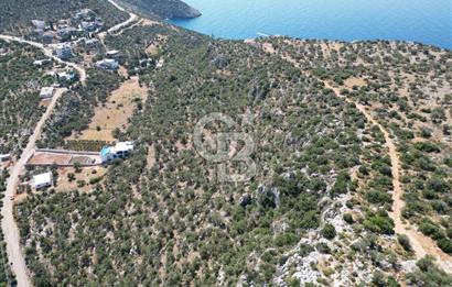 CB GİZ'DEN KAŞ BEZİRGAN'DA SATILIK YATIRIMLIK TARLA 