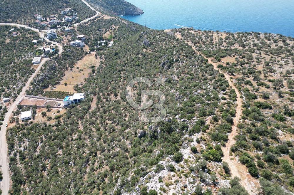 CB GİZ'DEN KAŞ BEZİRGAN'DA SATILIK YATIRIMLIK TARLA 