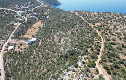 CB GİZ'DEN KAŞ BEZİRGAN'DA SATILIK YATIRIMLIK TARLA 