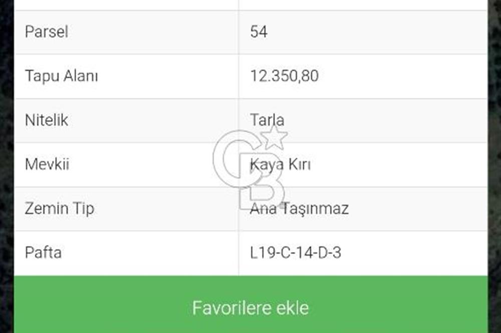 Kırtepe köyünde satılık yemiş ve zeytin tarlası