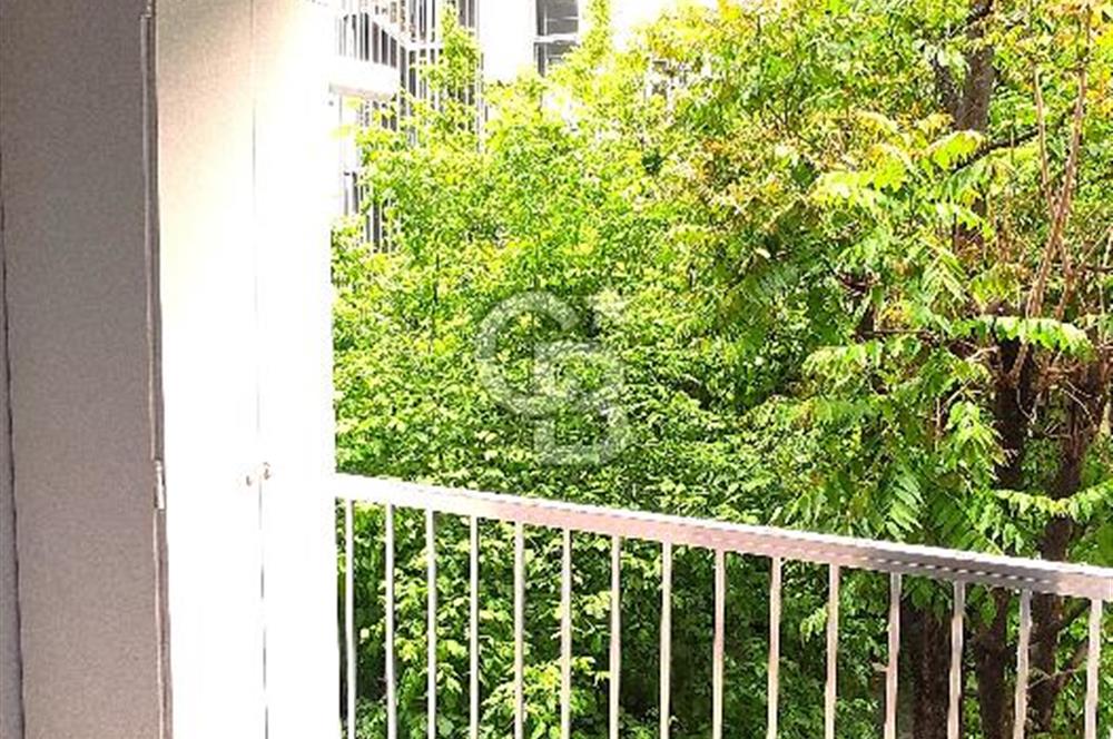 BEŞİKTAŞ VİŞNEZADE AKARETLER YENİ BİNA 80m2 2+1 KİRALIK DAİRE FIRSATI