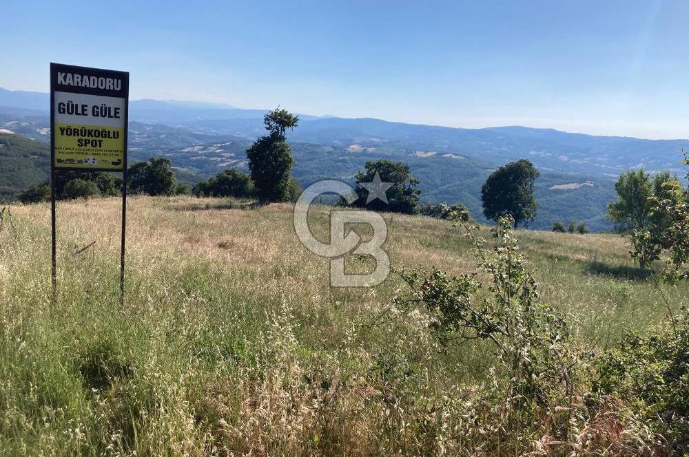 ÇANAKKALE YENİCE KARADORU KÖYÜ FIRSAT SATILIK TARLA