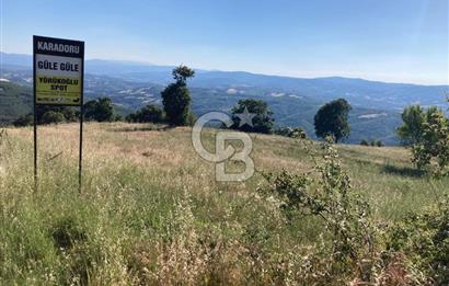 ÇANAKKALE YENİCE KARADORU KÖYÜ FIRSAT SATILIK TARLA