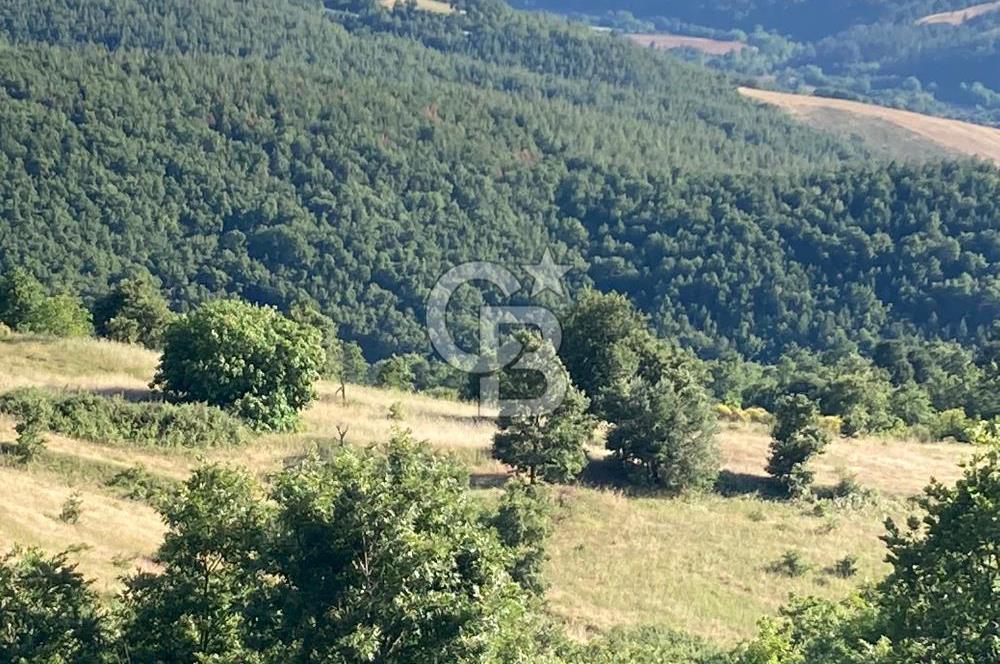 ÇANAKKALE YENİCE KARADORU KÖYÜ FIRSAT SATILIK TARLA