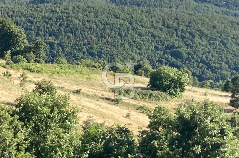 ÇANAKKALE YENİCE KARADORU KÖYÜ FIRSAT SATILIK TARLA