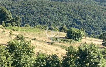 ÇANAKKALE YENİCE KARADORU KÖYÜ FIRSAT SATILIK TARLA