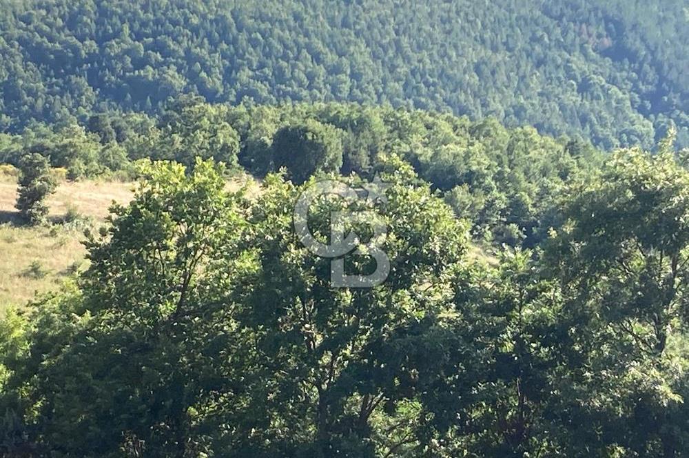 ÇANAKKALE YENİCE KARADORU KÖYÜ FIRSAT SATILIK TARLA