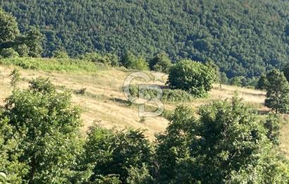 ÇANAKKALE YENİCE KARADORU KÖYÜ FIRSAT SATILIK TARLA