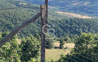 ÇANAKKALE YENİCE KARADORU KÖYÜ FIRSAT SATILIK TARLA