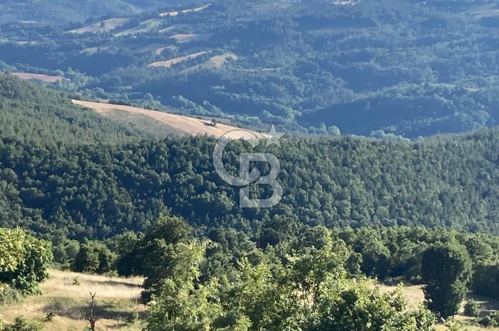 ÇANAKKALE YENİCE KARADORU KÖYÜ FIRSAT SATILIK TARLA
