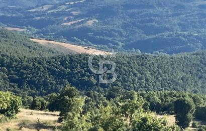 ÇANAKKALE YENİCE KARADORU KÖYÜ FIRSAT SATILIK TARLA