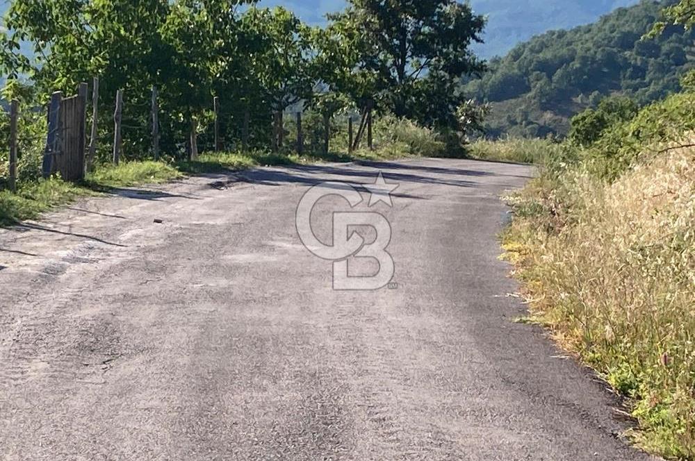 ÇANAKKALE YENİCE KARADORU KÖYÜ FIRSAT SATILIK TARLA