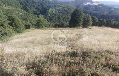 ÇANAKKALE YENİCE KARADORU KÖYÜ FIRSAT SATILIK TARLA