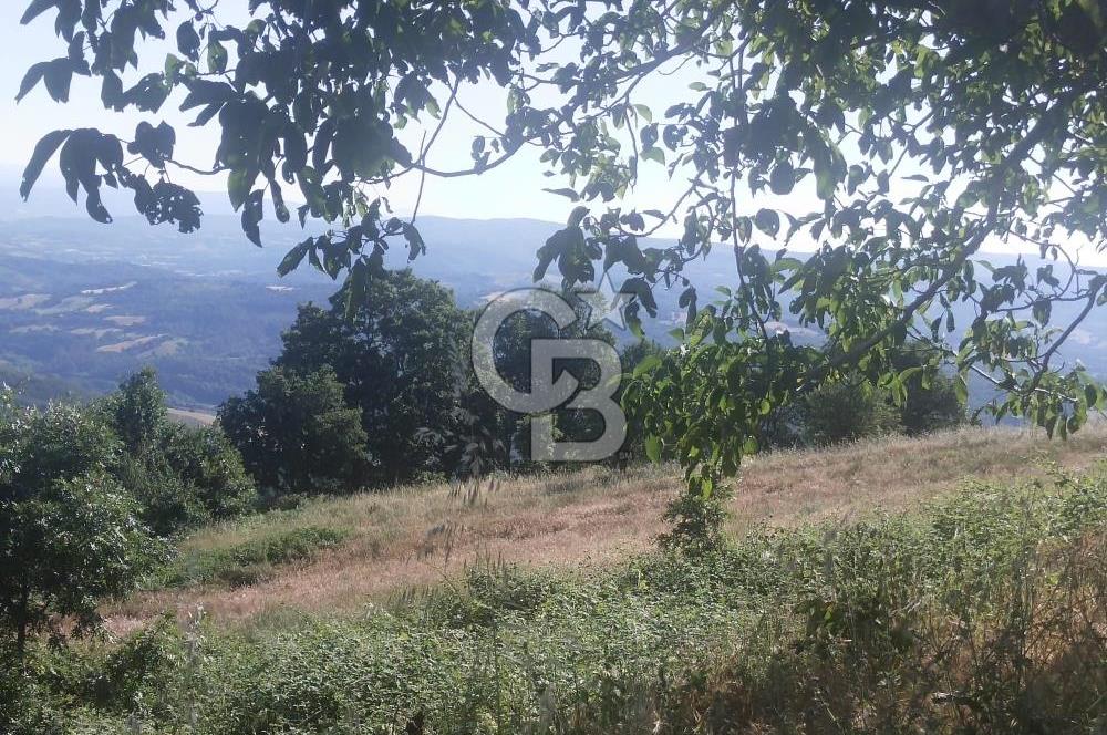 ÇANAKKALE YENİCE KARADORU KÖYÜ FIRSAT SATILIK TARLA