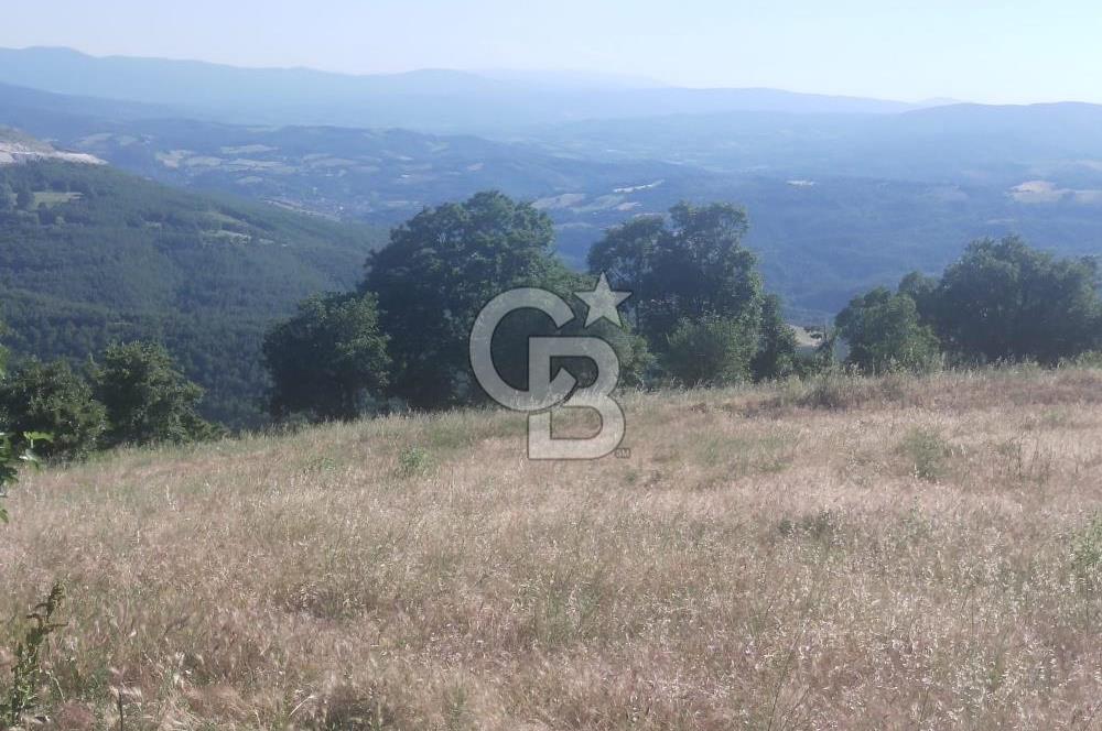 ÇANAKKALE YENİCE KARADORU KÖYÜ FIRSAT SATILIK TARLA