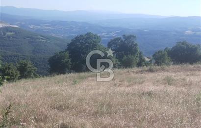 ÇANAKKALE YENİCE KARADORU KÖYÜ FIRSAT SATILIK TARLA