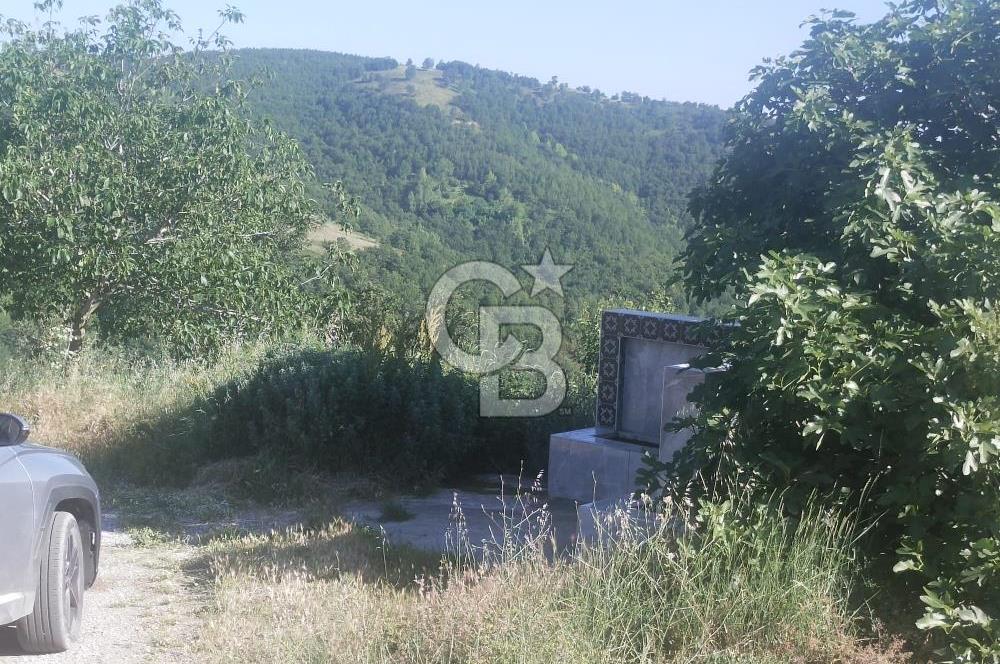 ÇANAKKALE YENİCE KARADORU KÖYÜ FIRSAT SATILIK TARLA