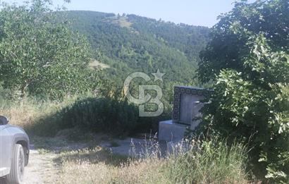 ÇANAKKALE YENİCE KARADORU KÖYÜ FIRSAT SATILIK TARLA