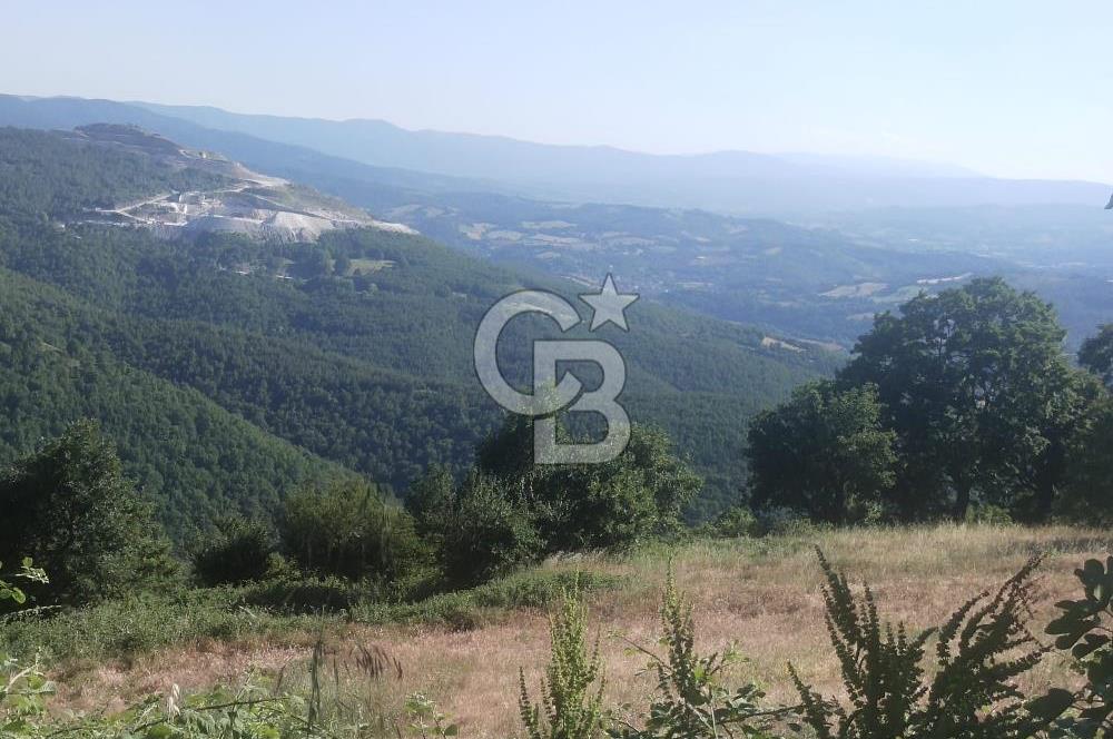 ÇANAKKALE YENİCE KARADORU KÖYÜ FIRSAT SATILIK TARLA