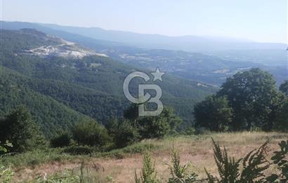 ÇANAKKALE YENİCE KARADORU KÖYÜ FIRSAT SATILIK TARLA
