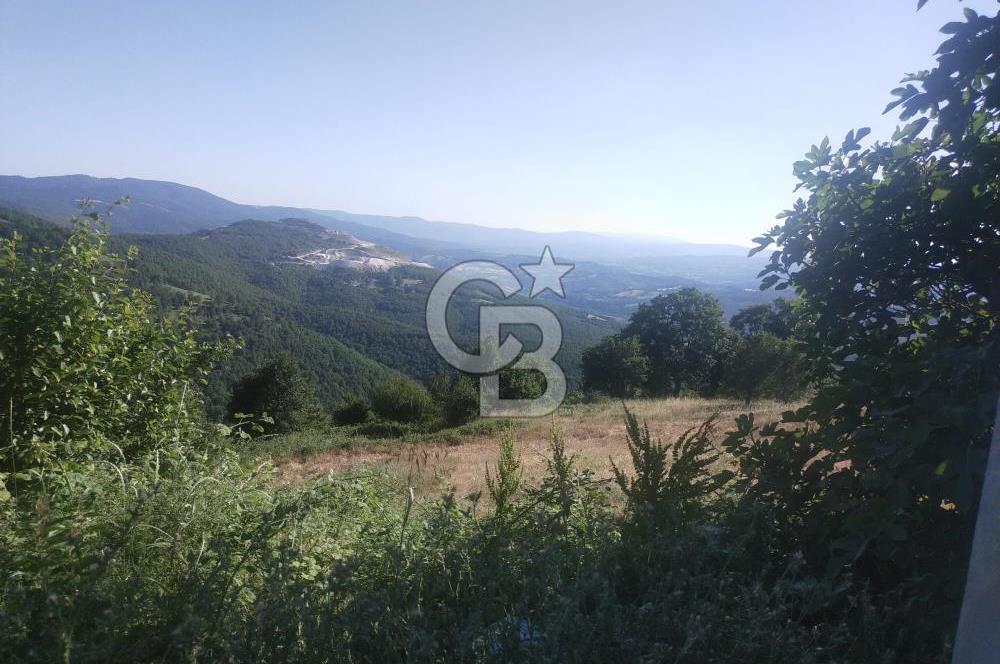 ÇANAKKALE YENİCE KARADORU KÖYÜ FIRSAT SATILIK TARLA