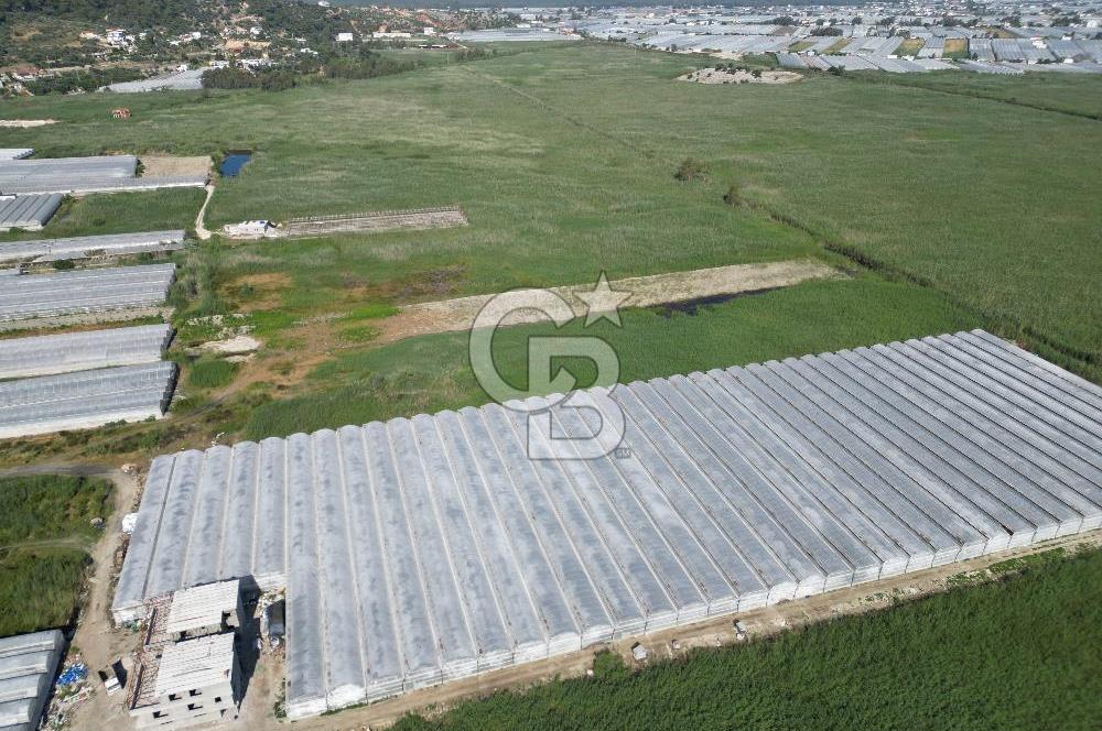 CB GİZ'den KAŞ - YEŞİLKÖY'de SATILIK SERA ARAZİSİ 