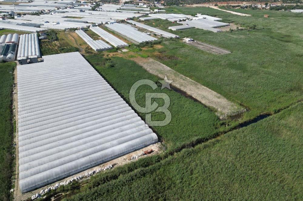CB GİZ'den KAŞ - YEŞİLKÖY'de SATILIK SERA ARAZİSİ 