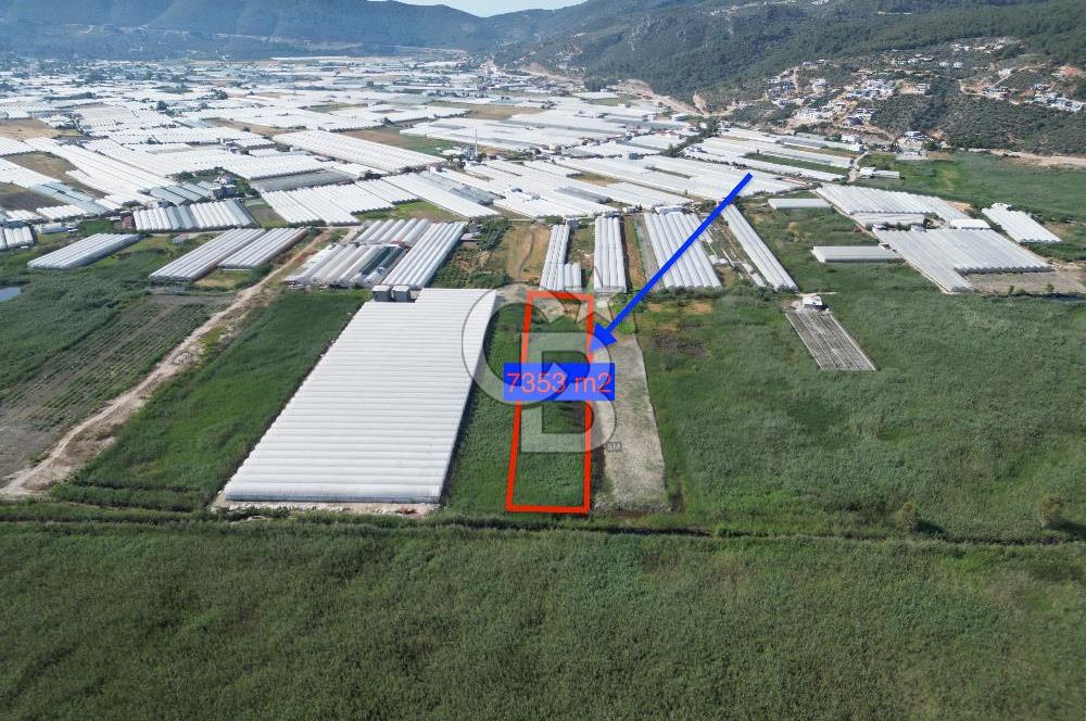 CB GİZ'den KAŞ - YEŞİLKÖY'de SATILIK SERA ARAZİSİ 