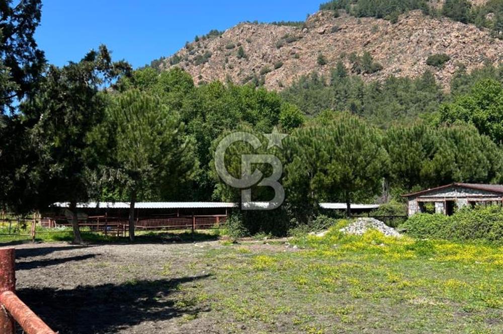 KÖYCEĞİZ'DE 75 DÖNÜM ARAZİ VE ÇİFTLİK EVİ
